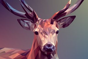 MaxDataGenius Basic helps you to restore complex graphics